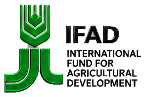 International Fund for Agricultural Development (IFAD) logo