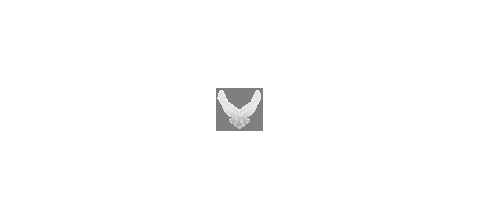 U.S. Air Force logo