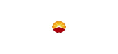 DQE INTERNATIONAL logo