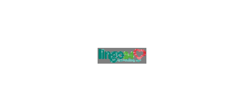 Lingo24 logo